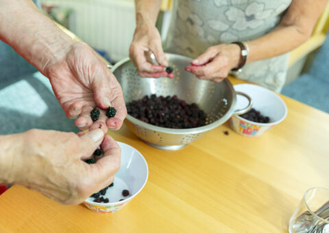 Foto inwoners sorteren bessen